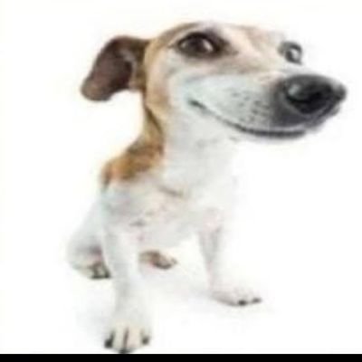 Blank02552151's profile picture. 