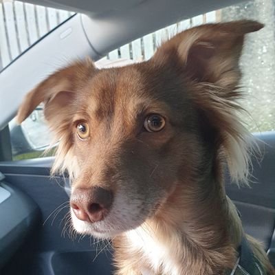 Reza78928229's profile picture. 