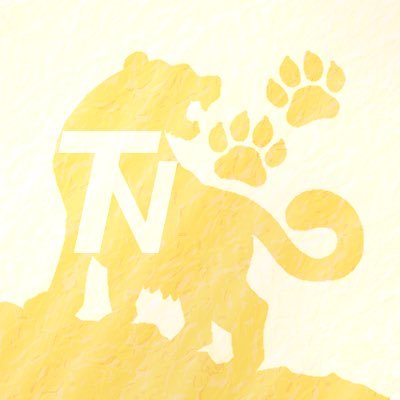\上場企業・大企業ご依頼多数🐾/SNS運用代行&コンサルは【Tiger-Network】へ🐯¦🏢企業公式アカウント(大手・中小・個人事業主様)&VTuber様(大手・中堅事務所所属・個人勢・Vライバー等)の公式X&Instagram運用およびコンサルに特化しています🐾