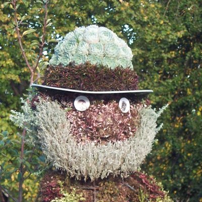 BGGuitartuition's profile picture. 