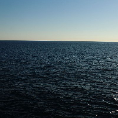 Spolari0w0's profile picture. 