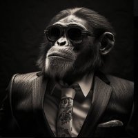 El Mono Macaco Venezolano 📚🕶️☀(@JosevicGutierr1) 's Twitter Profile Photo