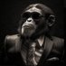 El Mono Macaco Venezolano 📚🕶️☀ (@JosevicGutierr1) Twitter profile photo