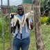 Dalitso Mwanza The Farmer (@didi_mwanza) Twitter profile photo Dalitso Mwanza The Farmer (@didi_mwanza) Twitter profile photo