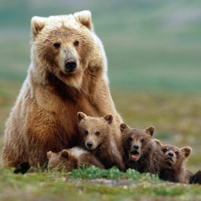 momma_bear2003's profile picture. Christ Follower. Wife. Mom….then everything else, if I have the time 😊