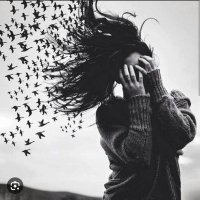 beritan (@beritanvan2) Twitter profile photo