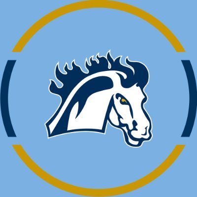 Go_Mustangs Profile Picture
