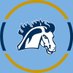 Mount Mercy Mustangs (@Go_Mustangs) Twitter profile photo