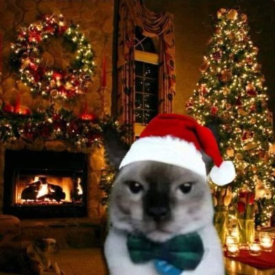 MASAZO_AK's profile picture. รับพิสูจน์อักษรนิยายภาษาไทย หากต้องการว่าจ้างกรุณาทักเข้าไปทางเฟสบุ๊คนะคะ DMเต็ม ไม่สามารถตอบข้อความทางช่องทางนี้ได้