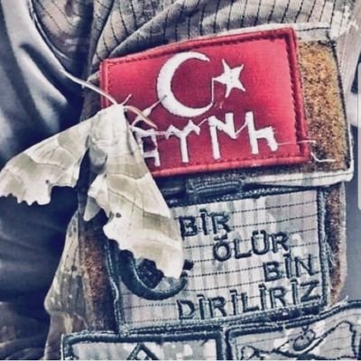 MehmetFatihGok Profile Picture