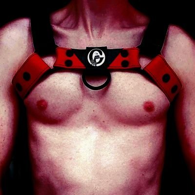30 y/o vers FF slut with a growing rose🌹🐷 Follow me on my journey towards Wreckage and Kinkification 😈             
                               🇧🇪 FR/EN
