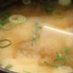 🍲 (@misotired_) Twitter profile photo 🍲 (@misotired_) Twitter profile photo
