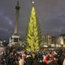 Trafalgar Square Tree (@trafalgartree) Twitter profile photo