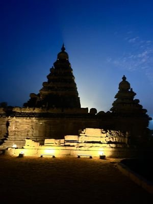 mrsekhar29's profile picture. Take it as it comes