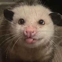 ALiXCE (@eclipserotonina) 's Twitter Profile