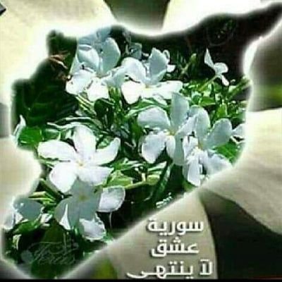 يقول عزّ ذكره:
ولقد صرفنا في هذا القرآن للناس من كلّ مثلٍ  ( وَكَانَ الإنْسَانُ أَكْثَرَ شَيْءٍ جَدَلا )❤️سوريا ❤️