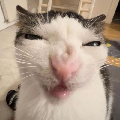 Danraptorr's profile picture. 