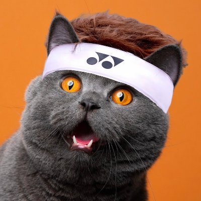 I am a very serious cat being, everything I say and post is 100% serious
Big fan of fat animals
