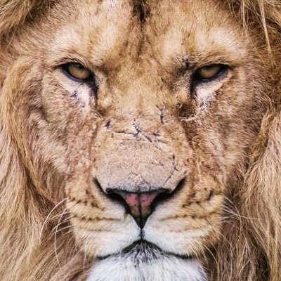 Saibharath0125's profile picture. Dreamer, Thinker and I'm a true Aquarian.