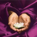 molly waite - @WaiteMolly - Twitter