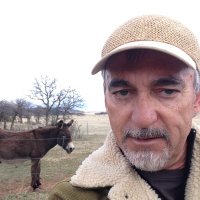 OhTrevor (@trevorohtrevor) 's Twitter Profile