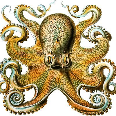 OctoBitcoin's profile picture. Good intentions without action are just good intentions