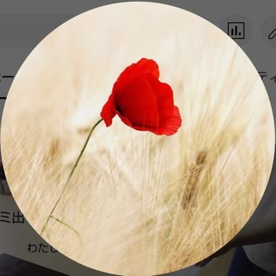 tomocyami's profile picture. はじめまして tomo(とも)と申します🍀
2022年3月はじめにWordPressに挑戦→挫折
→2024年1月再挑戦  散らかる⇔片付く繰り返ながらでも簡単に整う快適な暮らしをテーマに
ブログを書いています。⚠️勧誘DM(電話)のお返事はできません。ご了承ください😌