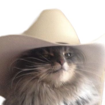 certifiedmidwit's profile picture. when the river runs dry and the curtain is called, how will I know if I can’t see the bottom