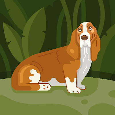 OwolabiDaodu's profile picture. 