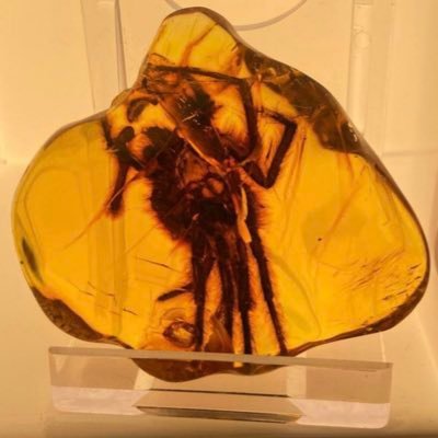 dube__28's profile picture. 🌤️