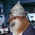 tin foil dog (@_X_T_RME_2) Twitter profile photo