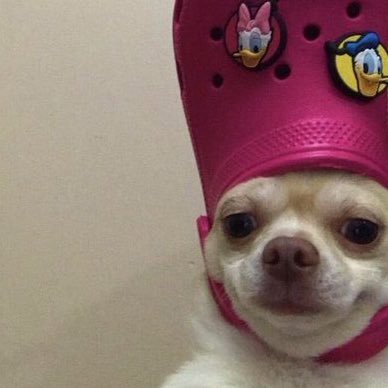 Lm021801's profile picture. 