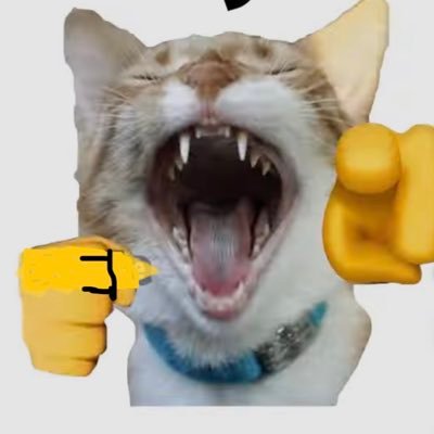 catcatck11's profile picture. certified ChristianB)