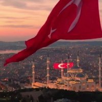 Hasan Hamamcı (@hasanhamamci) 's Twitter Profile