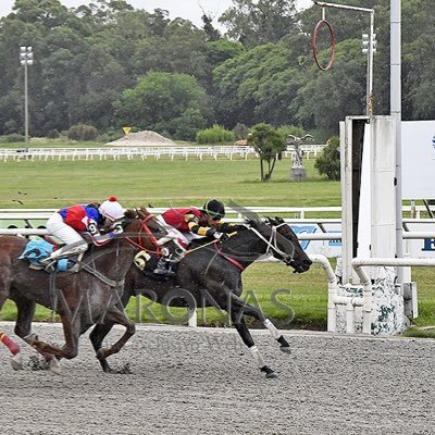 JOCKEY EN HIPÓDROMO DE MAROÑAS