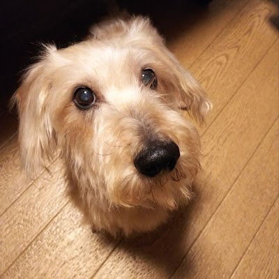 BF_toraking's profile picture. 海釣り🎣とゲームが、大好きなジジイです。最近Twitchで配信始めました。
フォトナが、メインでヘタッピですが頑張ってます。
わくや学園所属してます。
宜しくお願い致します🙇