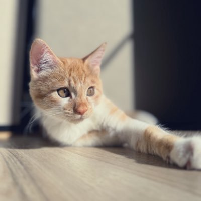nzran18's profile picture. ほぼ放置