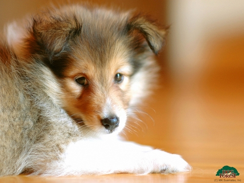 skazuyuki's profile picture. 初めまして カズです。仲良くして下さい。 よろしくお願いします。＼(^o^)／