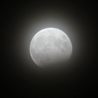 johnnymac (@itrieds0hard) 's Twitter Profile Photo
