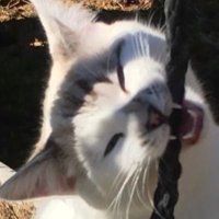 notkendall (@notkendall652) 's Twitter Profile Photo