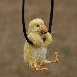 bilbalo1's profile picture. 