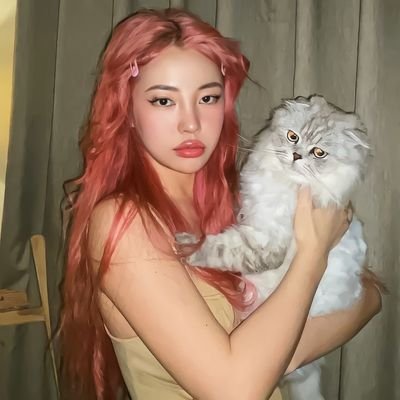 czysei Profile Picture