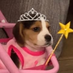 yelirara95's profile picture. 