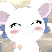 ゆぴ (@yr_pyn3) 's Twitter Profile