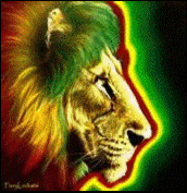 As Melhores Frases do Reggae !