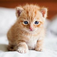 新的-🚀MATR1XCoin (@nn3d2l3klf29475) 's Twitter Profile