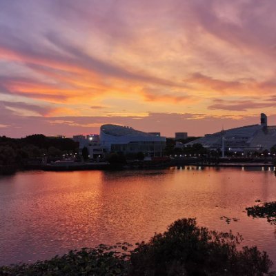 yunf_zhou's profile picture. CS PhD student @ Zhejiang University
Data Visualization | Human-Computer Interaction | Data Wrangling