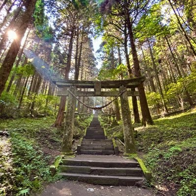 nmpz_sc80's profile picture. CB1000Rって言うほぼ見かけない不人気な乗り物に乗ってます。