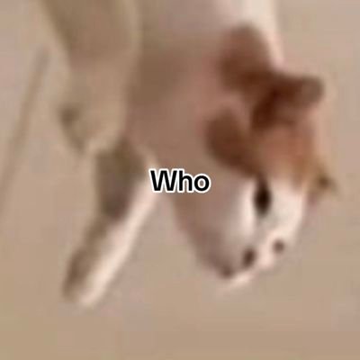 AndyReviil's profile picture. Si me va cargar la verga, va ser bajo mis términos.