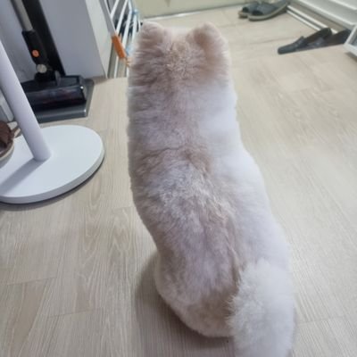 .さんのプロフィール画像